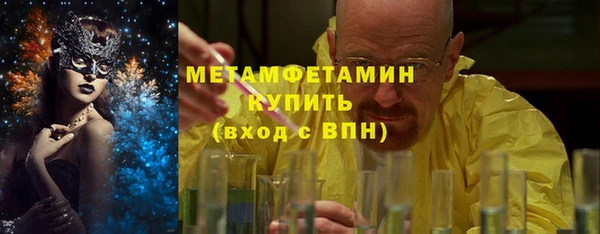 ГАЛЛЮЦИНОГЕННЫЕ ГРИБЫ Богданович