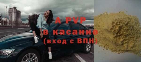 ГАЛЛЮЦИНОГЕННЫЕ ГРИБЫ Богданович