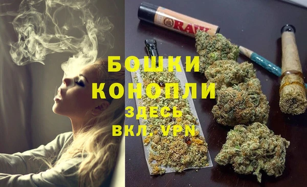 ГАЛЛЮЦИНОГЕННЫЕ ГРИБЫ Богданович