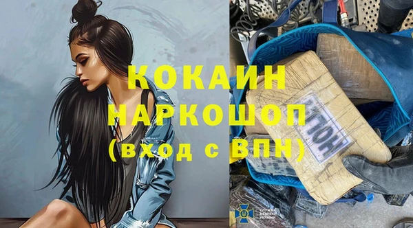 ГАЛЛЮЦИНОГЕННЫЕ ГРИБЫ Богданович