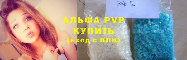 ГАЛЛЮЦИНОГЕННЫЕ ГРИБЫ Богданович