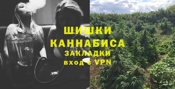 ГАЛЛЮЦИНОГЕННЫЕ ГРИБЫ Богданович