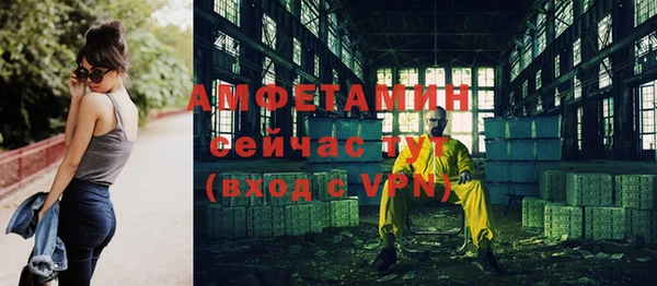 ГАЛЛЮЦИНОГЕННЫЕ ГРИБЫ Богданович