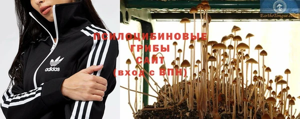 ГАЛЛЮЦИНОГЕННЫЕ ГРИБЫ Богданович