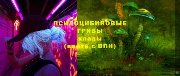 ГАЛЛЮЦИНОГЕННЫЕ ГРИБЫ Богданович